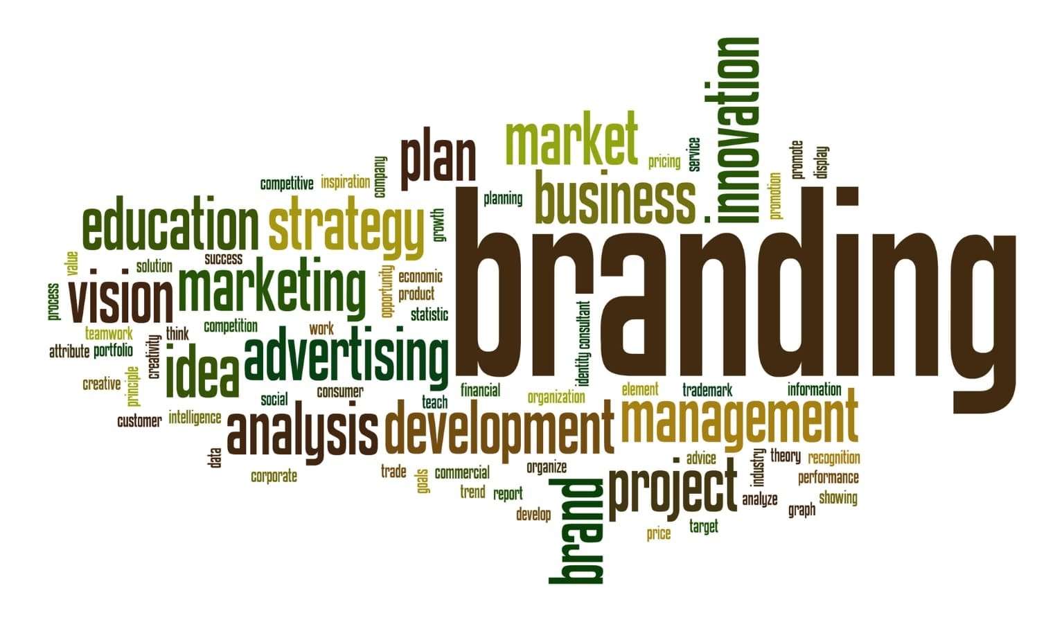 Brand building buzimax digital marketing website development 001